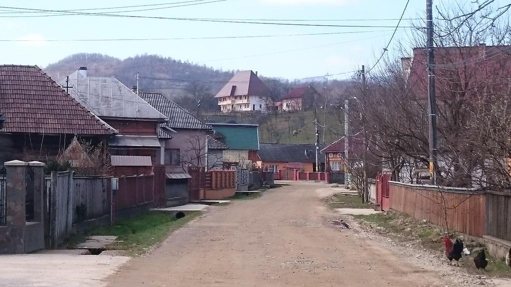 Pensiunea Agroturistica Raluca Ваду-Изей Экстерьер фото