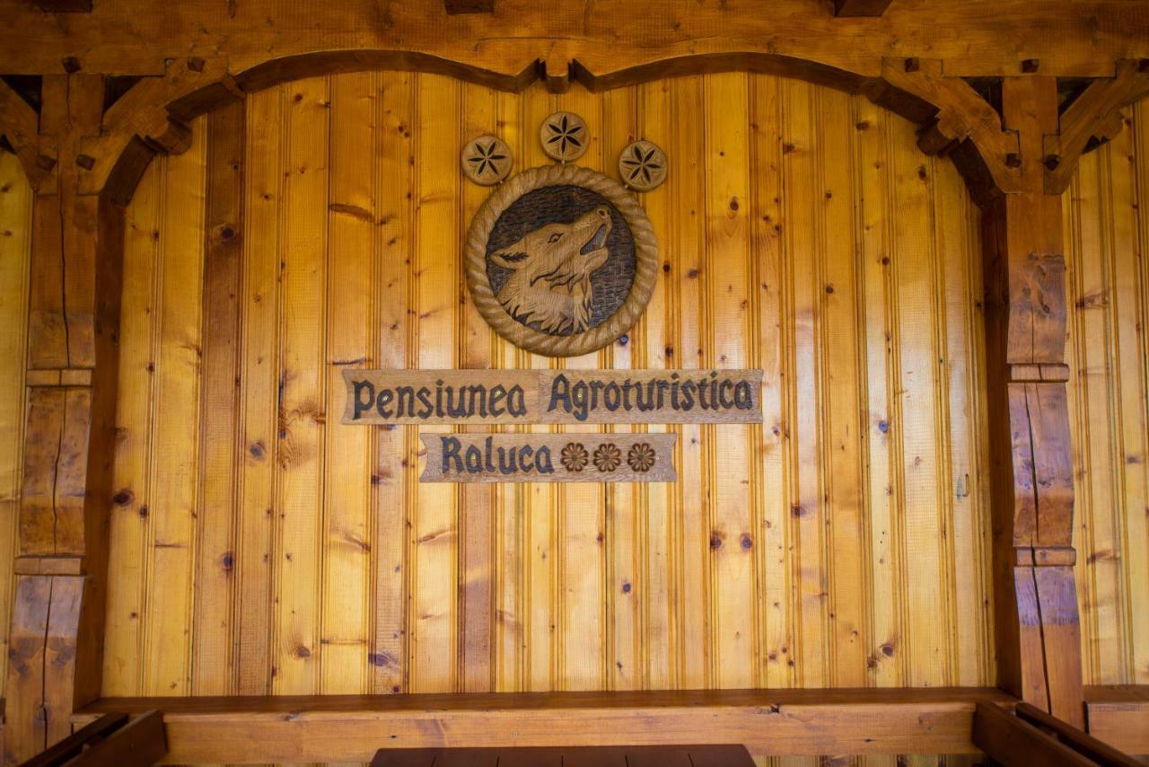 Pensiunea Agroturistica Raluca Ваду-Изей Экстерьер фото